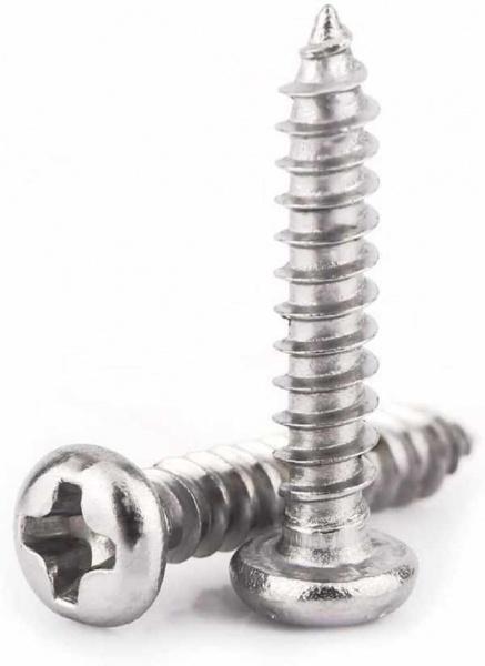 7981